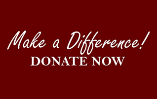 Donate Now Module by MakeWebBetter